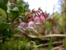 20050505 131112_1.jpg